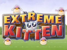 Extreme Kitten
